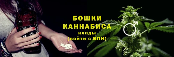 PSILOCYBIN Алексеевка