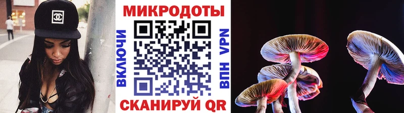 Галлюциногенные грибы Cubensis  закладка  Барыш 